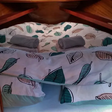 Botel Motorjacht Flint